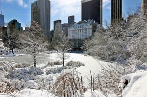 Central Park in the Snow